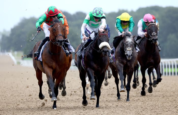 Dilligent Harry (left) and Safie Osbourne winning at Newcastle 
