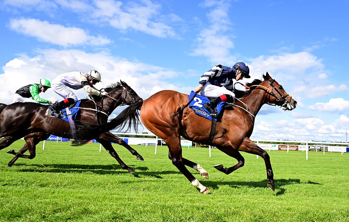 Harry's Hill is ridden out by Wayne Hassett
