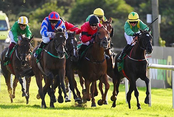 Steps In The Sand and Patrick McGettigan 