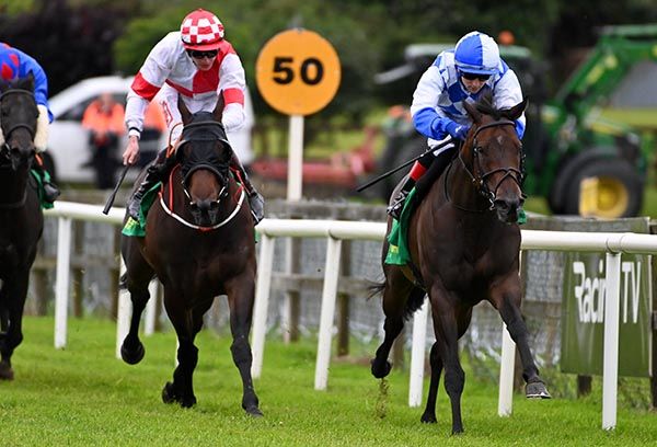 My Girl Sioux, right, outguns Hero Of The Hour