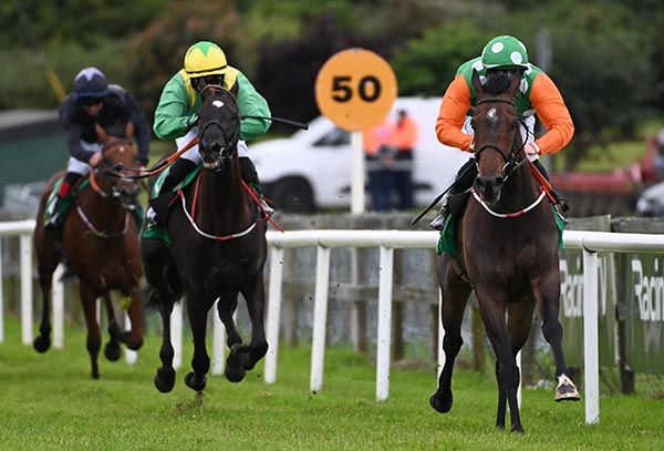 Celtic Druid and Robert Whearty 