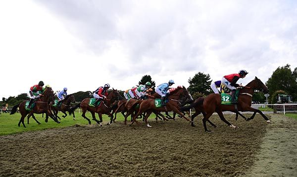 Mrs Mc Go and Alex Harvey, number 12