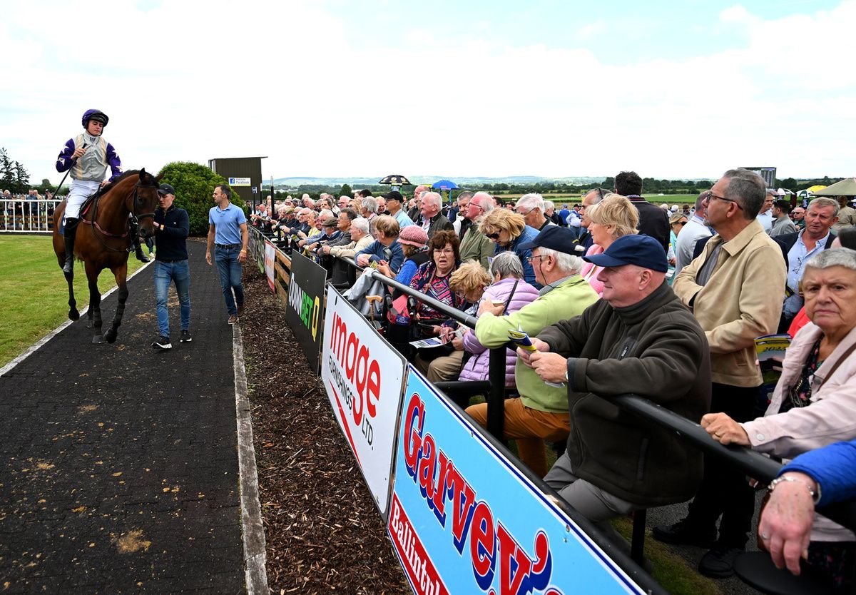 Roscommon stage a National Hunt card on Tuesday
