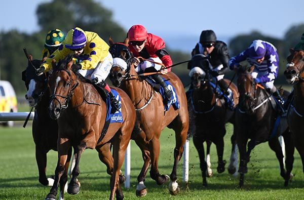 Zaraahmando and Andrew Slattery