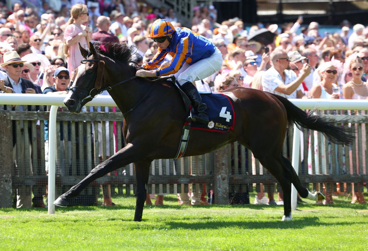 Scandinavia proved too strong for Illinois