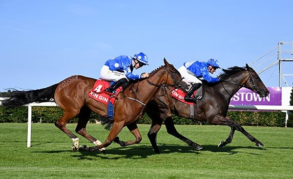 Vera's Secret and Seamie Heffernan. 