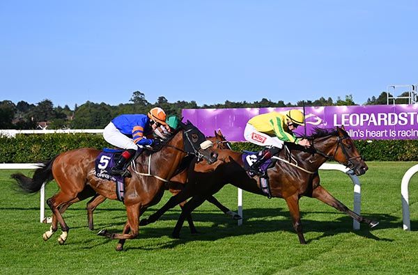 Mallavelly and James Ryan