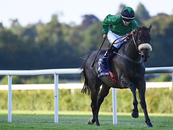 Unterberg and Wayne Hassett