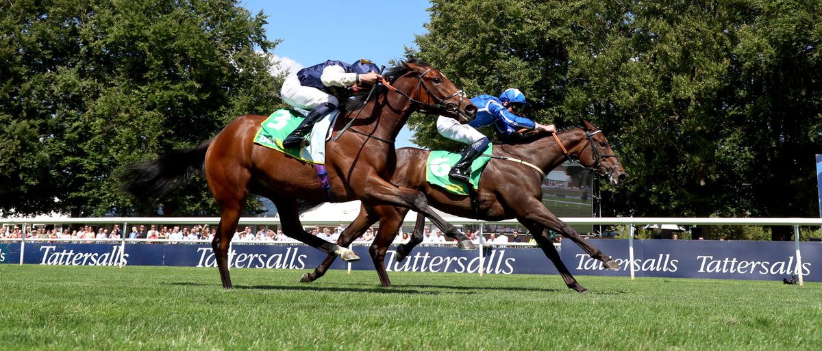 Venetian Sun (far side) and Clifford Lee