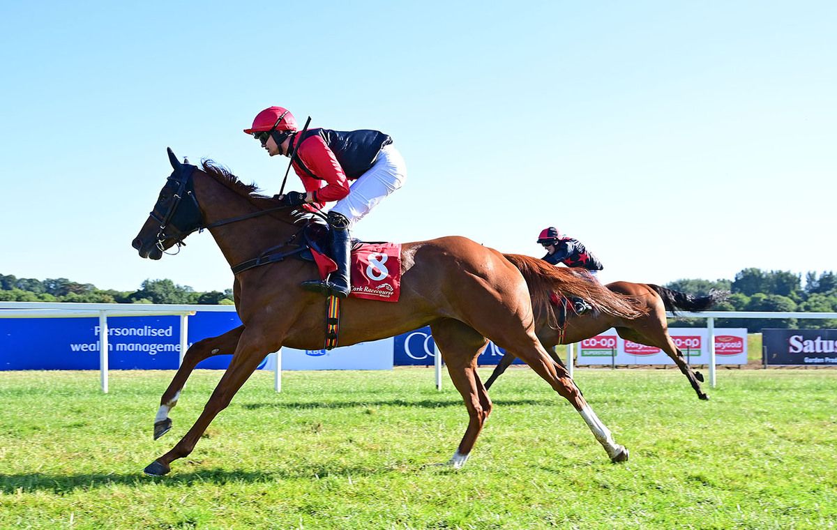 Small Bucks and Eoghan Finegan 