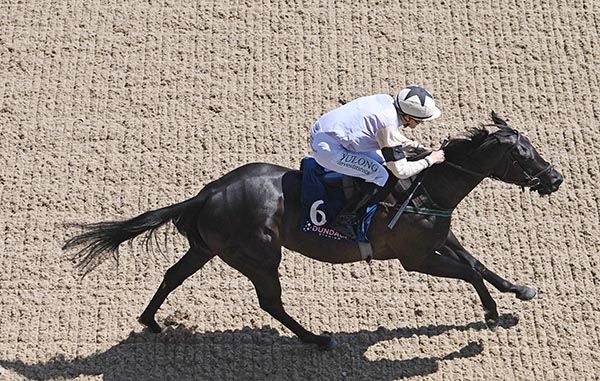 Eclairage and Shane Foley 