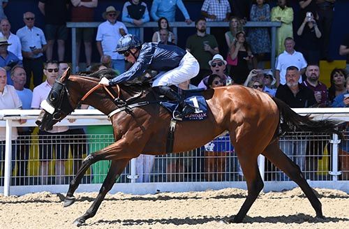 Just Before and Adam Browne Souza 