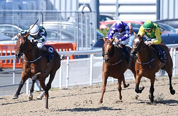 Spring Dance and Shane Foley