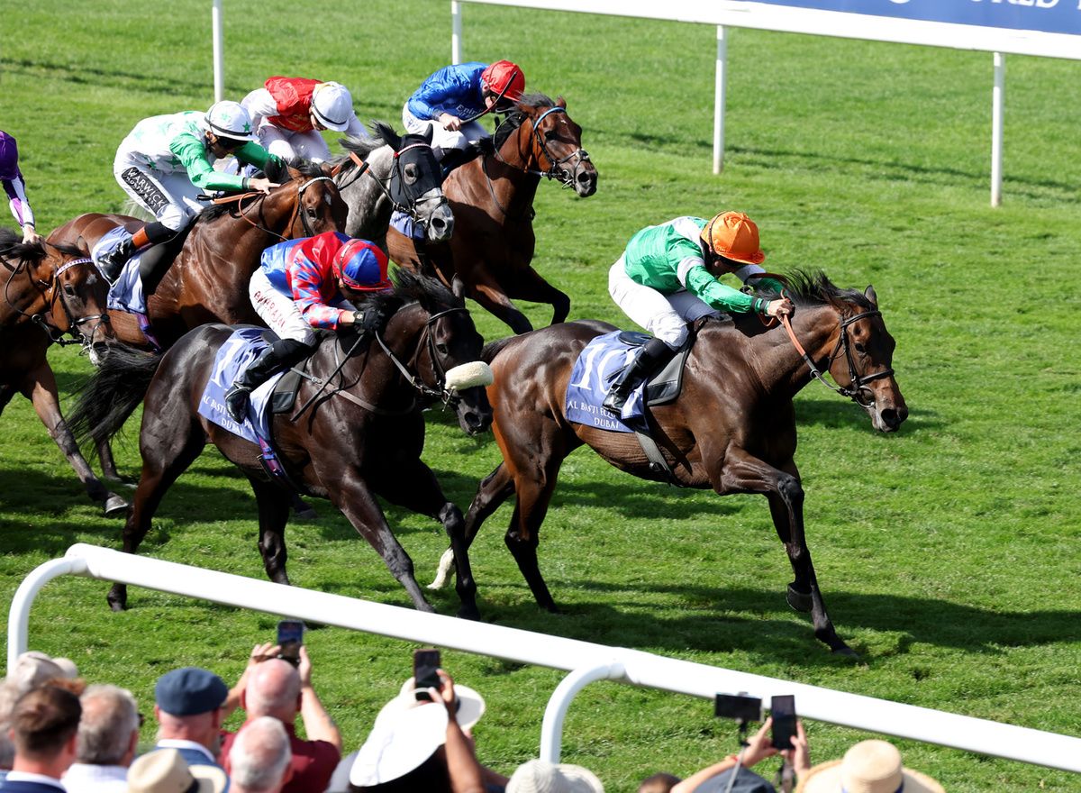 No Half Measures, orange cap