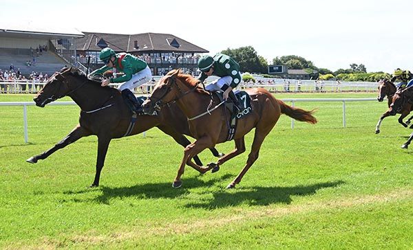 Zuheila, far side, grabs Washington Street 