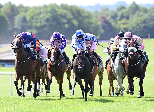 White and blue silks Jimmy Dalton wins on My Girl Sioux