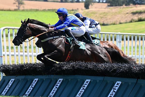 Diamond Tipp hits the front in jumping the last