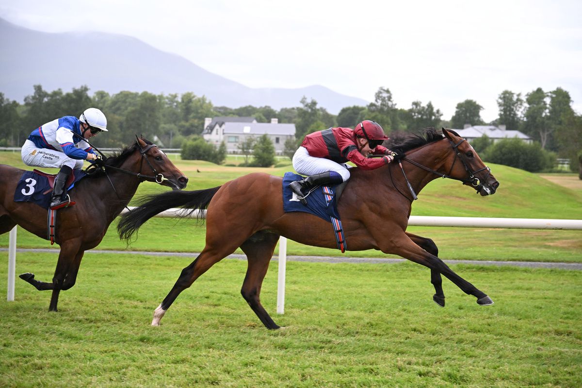 Killarney A Boy Named Susie wins for trainer Donnacha O Brien