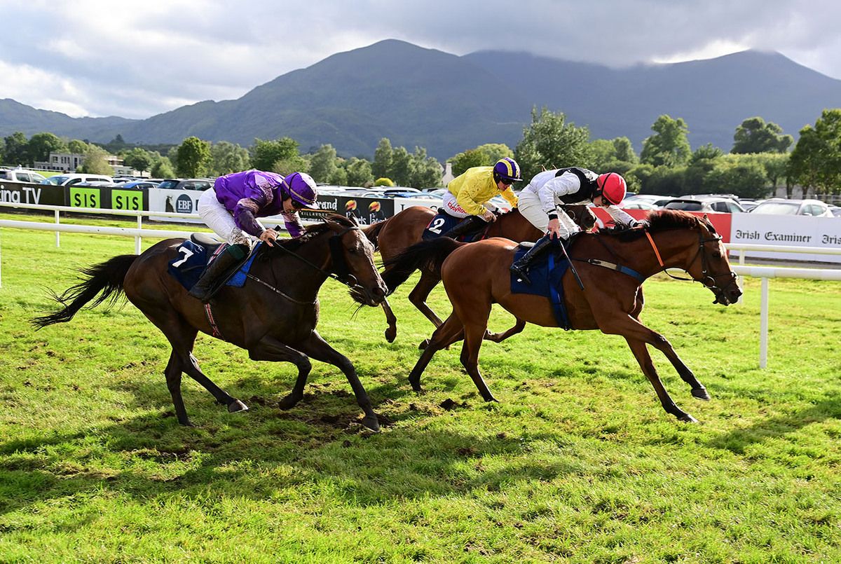 Duty Bound and Donagh Meyler 