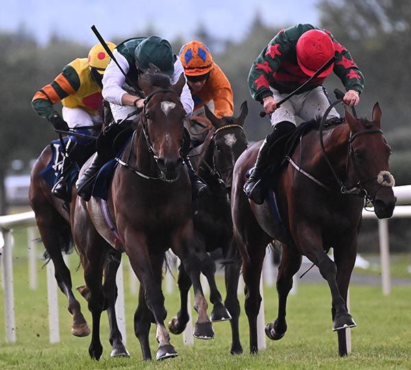 Galileo Sand and John Gleeson. 