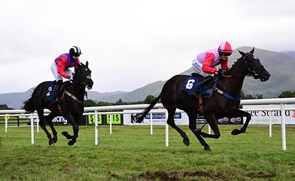 Palpatate and Anna McGuinness. 