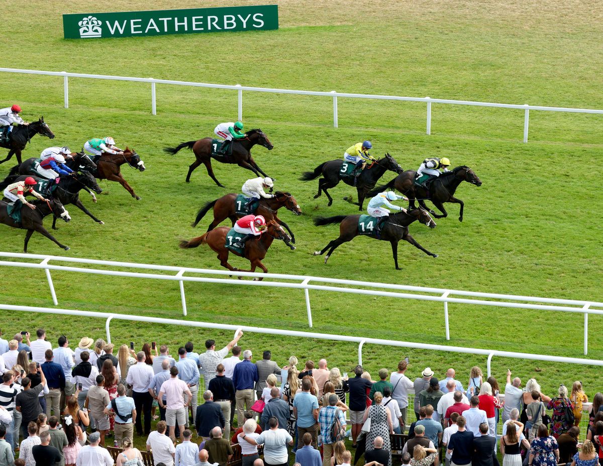 Newbury 