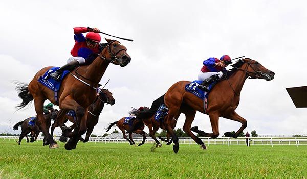 Sugar Island and Ryan Moore