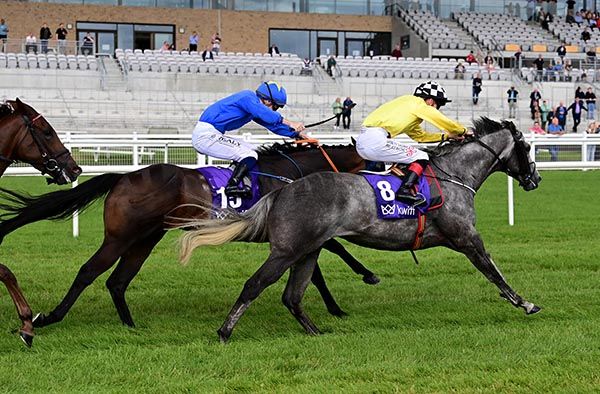 Cuban Grey and Rory Mulligan 