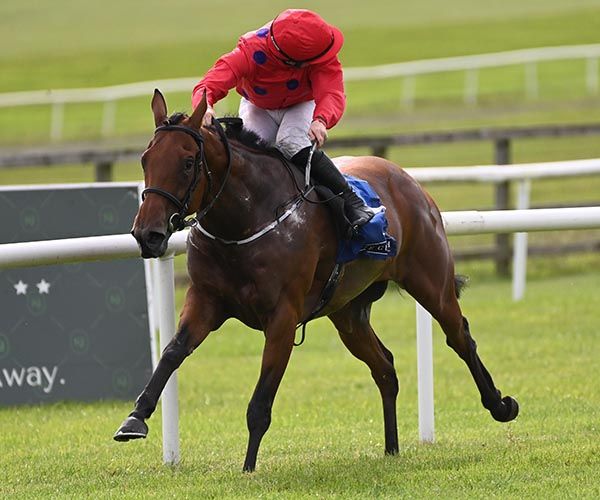 Queen Of The Bogs and Gary Carroll