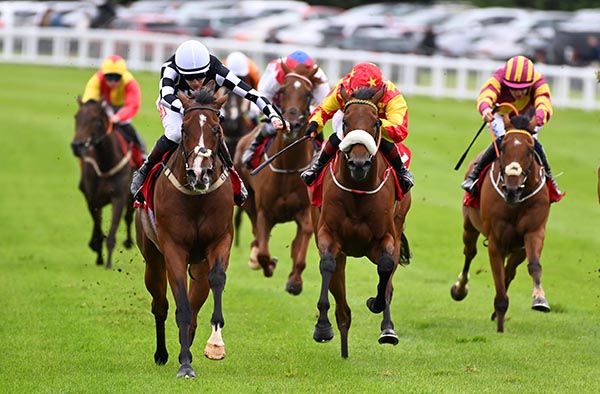 Bucaneer's Spirit is ridden out by James Ryan