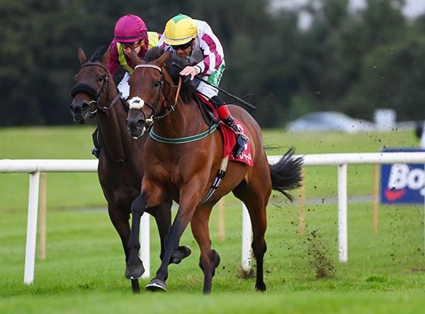 Buddy One leads home So Golden