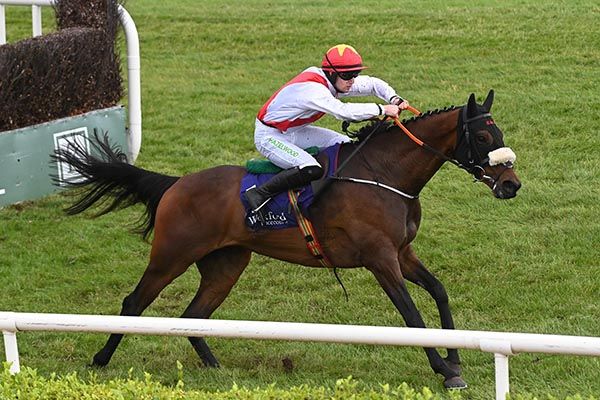 Wonleg and Patrick O'Brien pictured on their way to victory