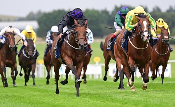 Red Earth and Seamie Heffernan