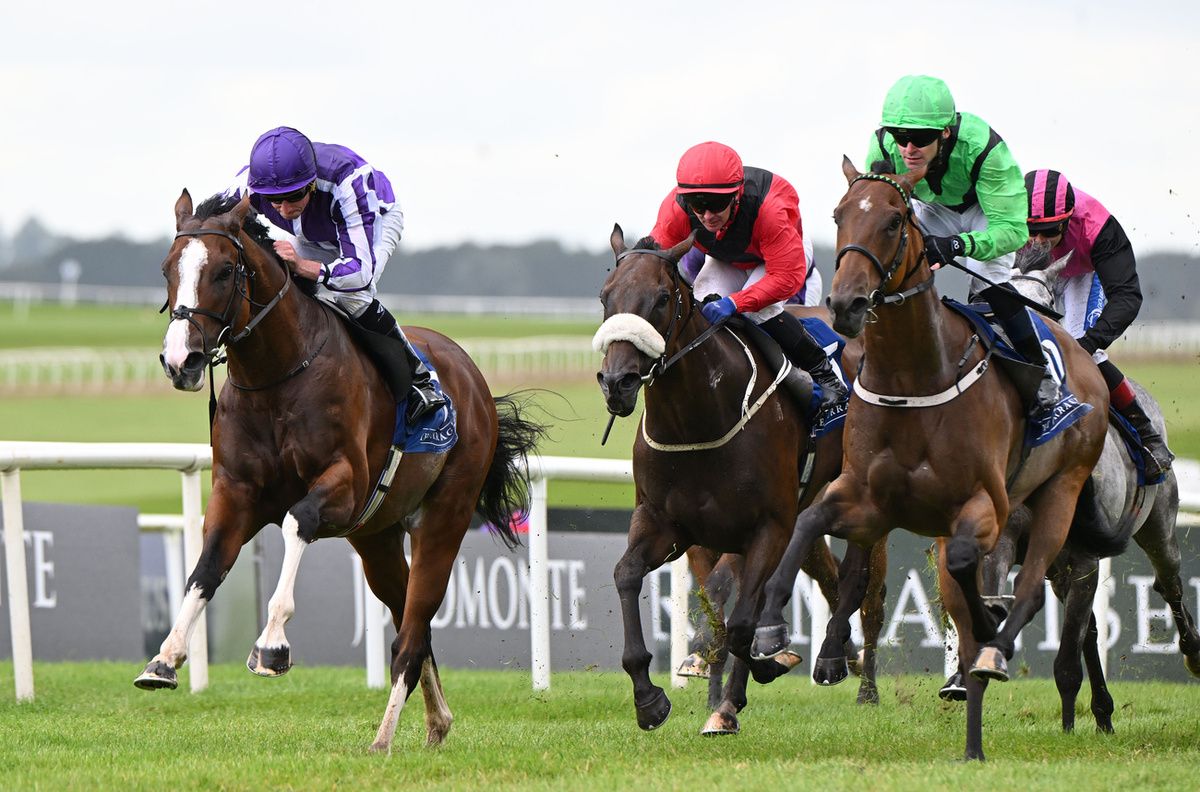 Diego Velazquez (left) winning at the Curragh last month
