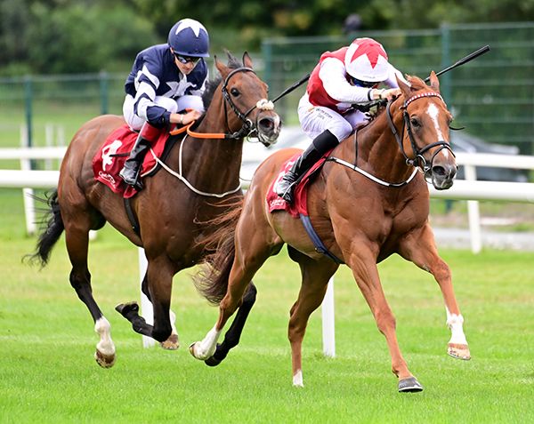 Red Evolution and Dylan Browne McMonagle