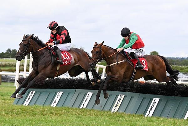 Ballykinlar, black and red, has too much for Faceman
