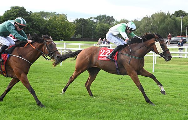 Hastily and Jack Cleary