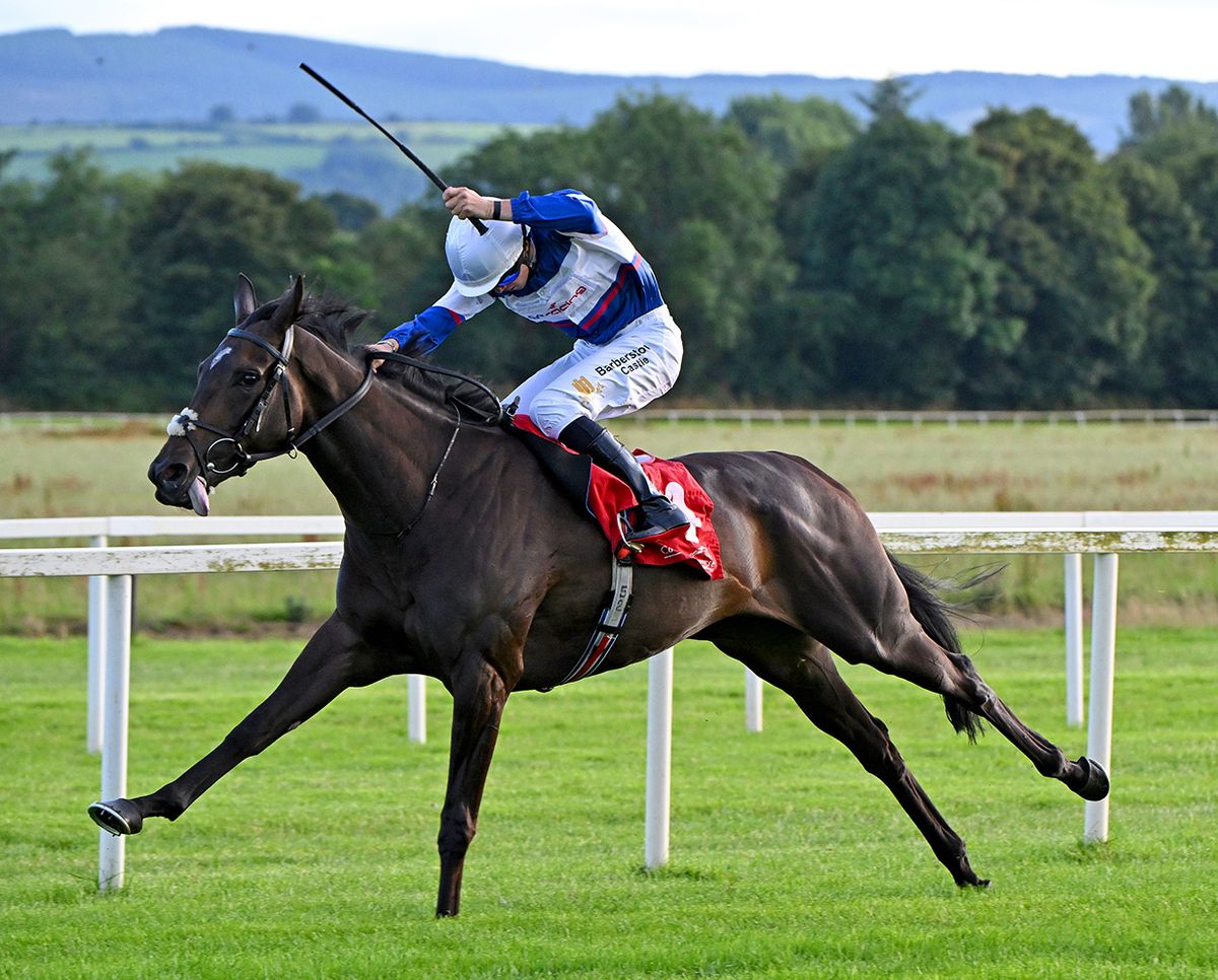 Mojave River in full flow