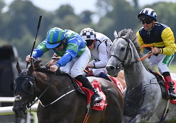 Sierra De Gredos and Gary Carroll 