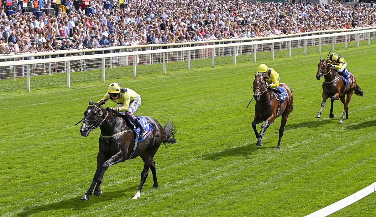 Royal Champion and Clifford Lee