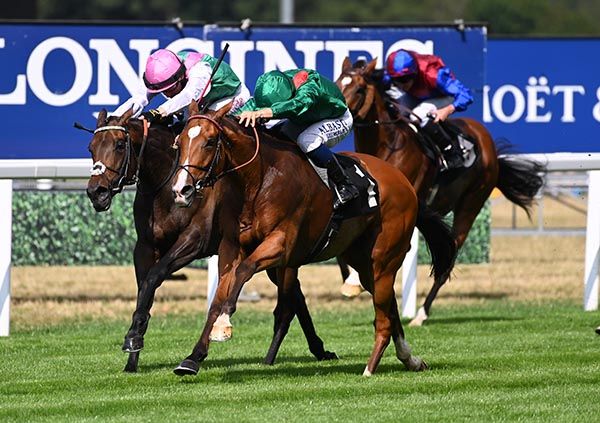 Calandagan landed the King George at Ascot 
