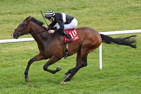 Skib Gold and Paddy Harnett 