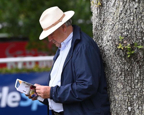 Gowran Park 26-7-25  Noel Meade Studies the form at Gowran Park(Photo HEALY RACING)