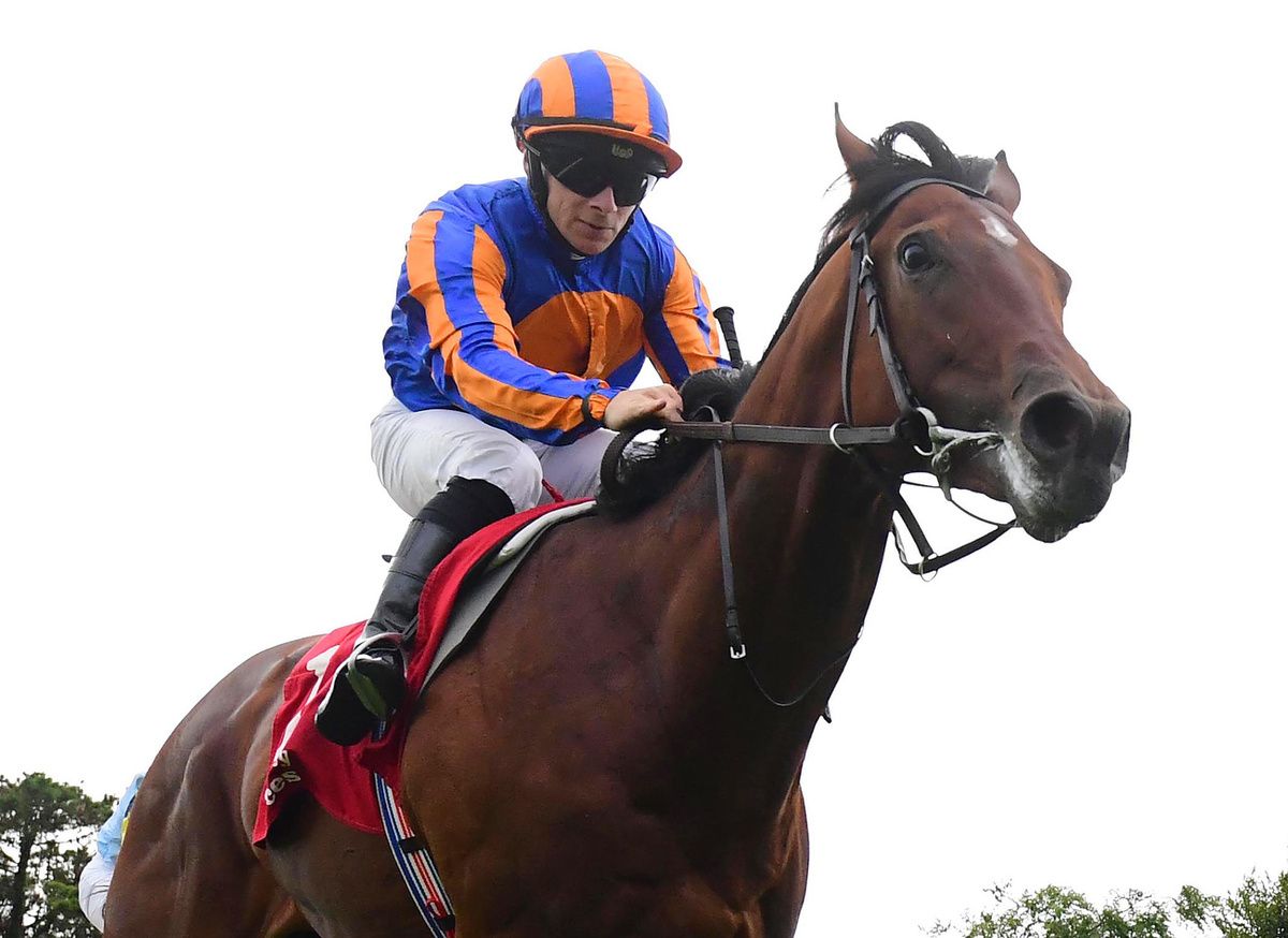 Galway 28-7-25  Constitution River & Wayne Lordan win the Eventus Irish EBF Maiden(Photo HEALY RACING)