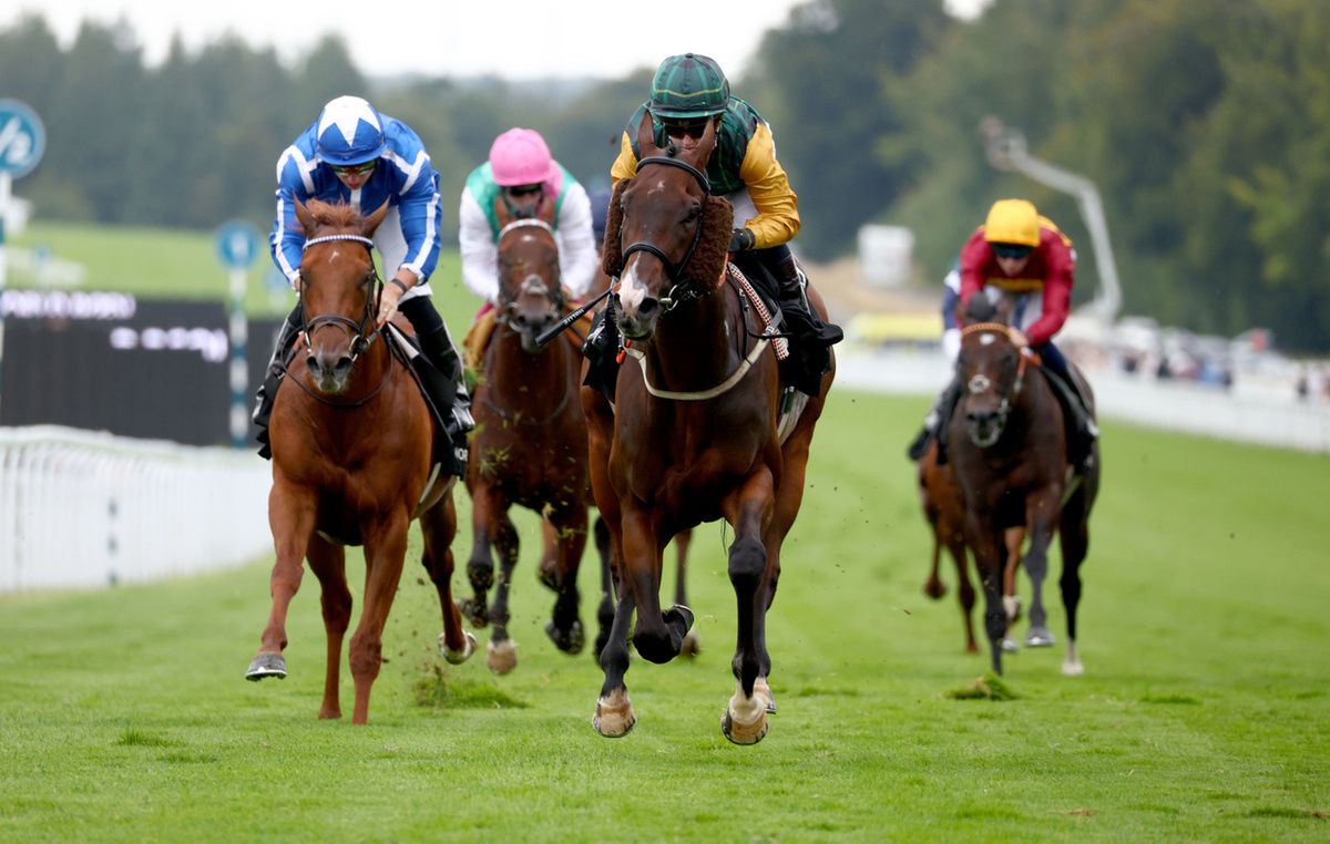 Witness Stand pictured winning at Goodwood