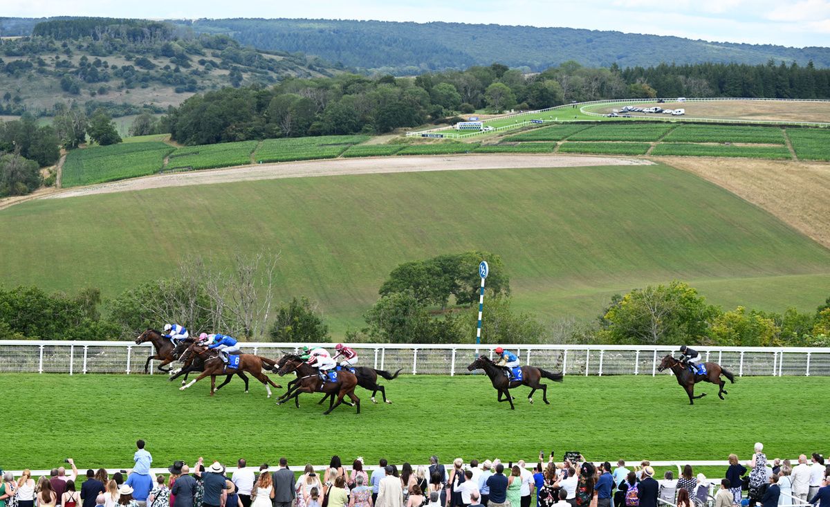 Goodwood 