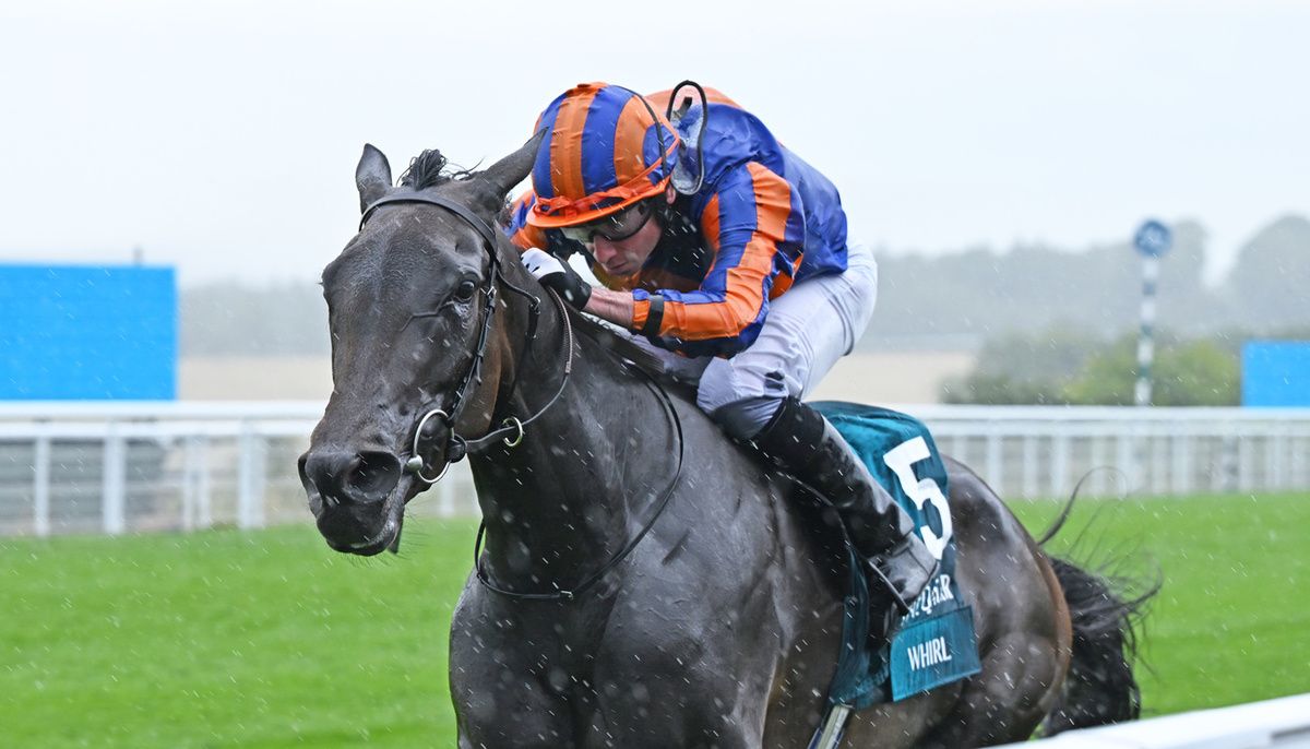 Whirl (pictured at Goodwood)