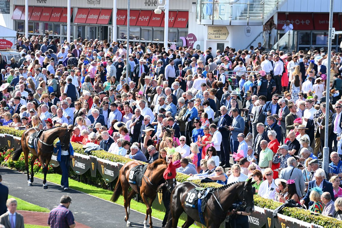 Horses parading for the 2025 Guinness Galway Hurdle