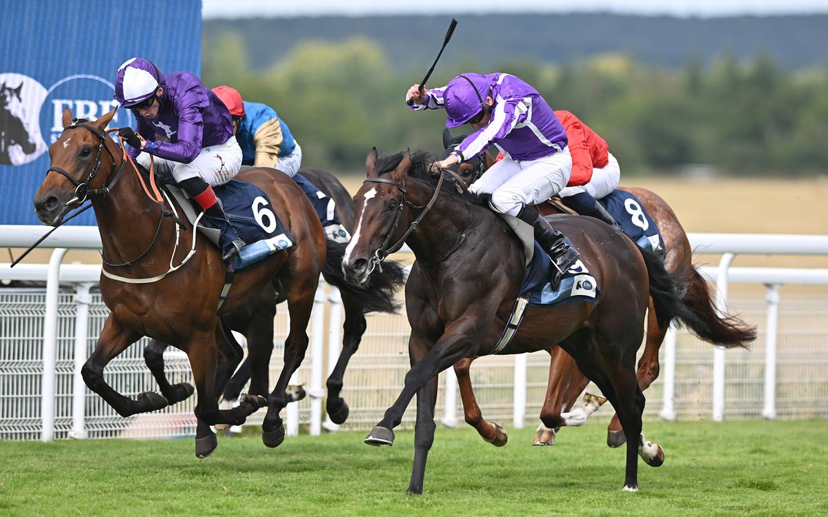 Isaac Newton (Ryan Moore) wins the British Stallion Studs EBF Maiden Stakes at Goodwood Racecourse 02.08.25Healy Racing