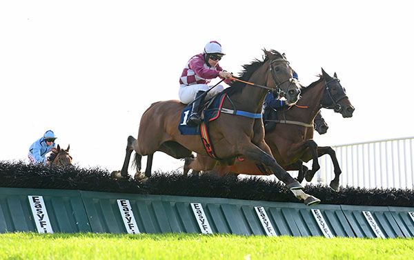 Yosemite Gold and Philip Enright 